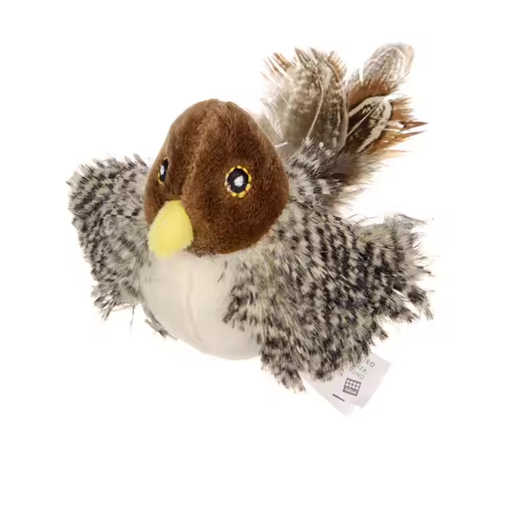 Oiseau chanteur