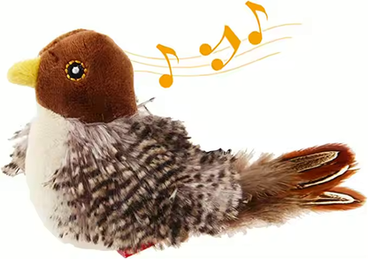 Oiseau chanteur